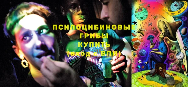 гашиш Богданович