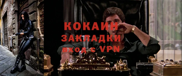 соль ск Белокуриха