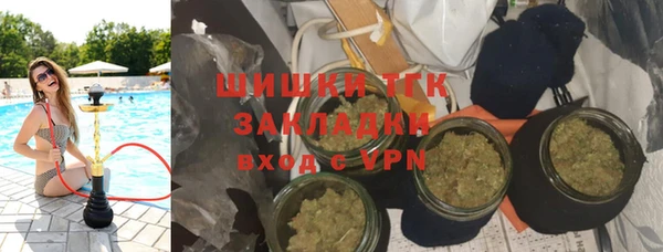 гашиш Богданович